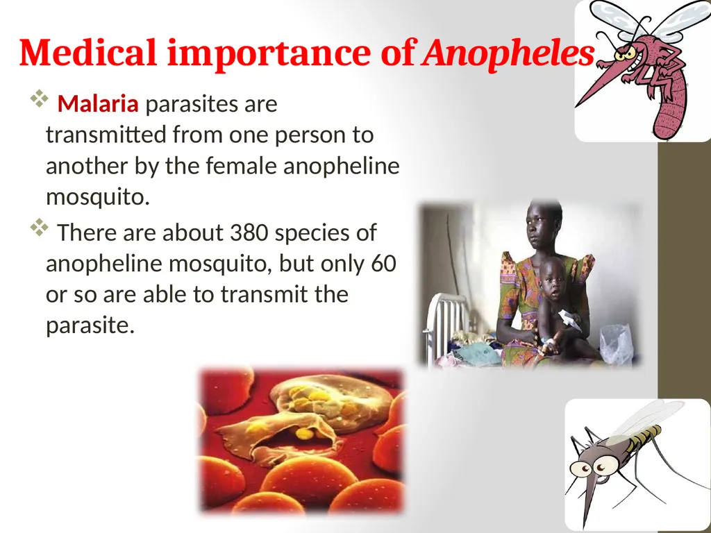 Mosquitoes Amal Almuhanna 2012 Introduction - slide 43 of 54