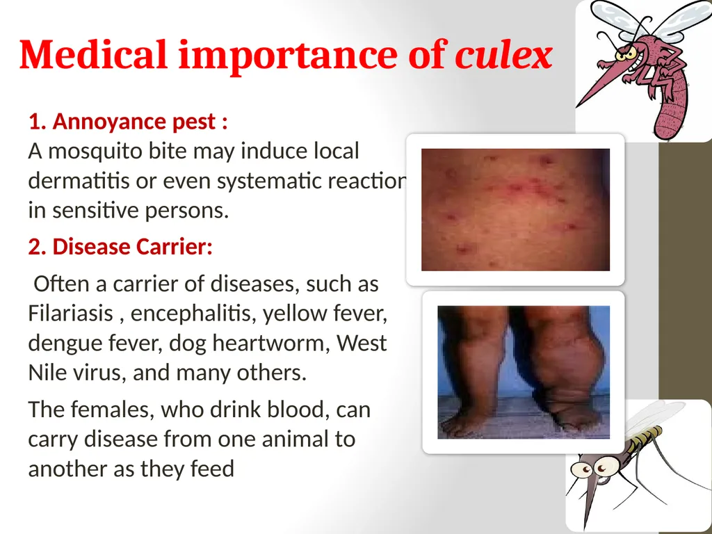 Mosquitoes Amal Almuhanna 2012 Introduction - slide 36 of 54