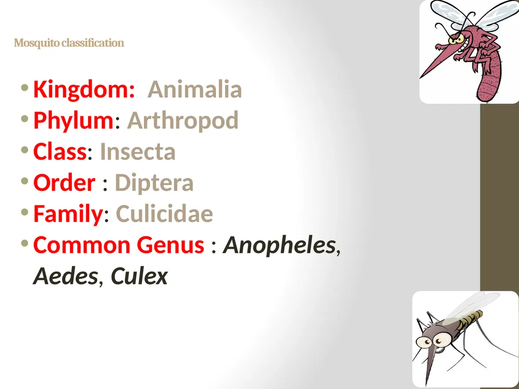 Mosquitoes Amal Almuhanna 2012 Introduction - slide 3 of 54
