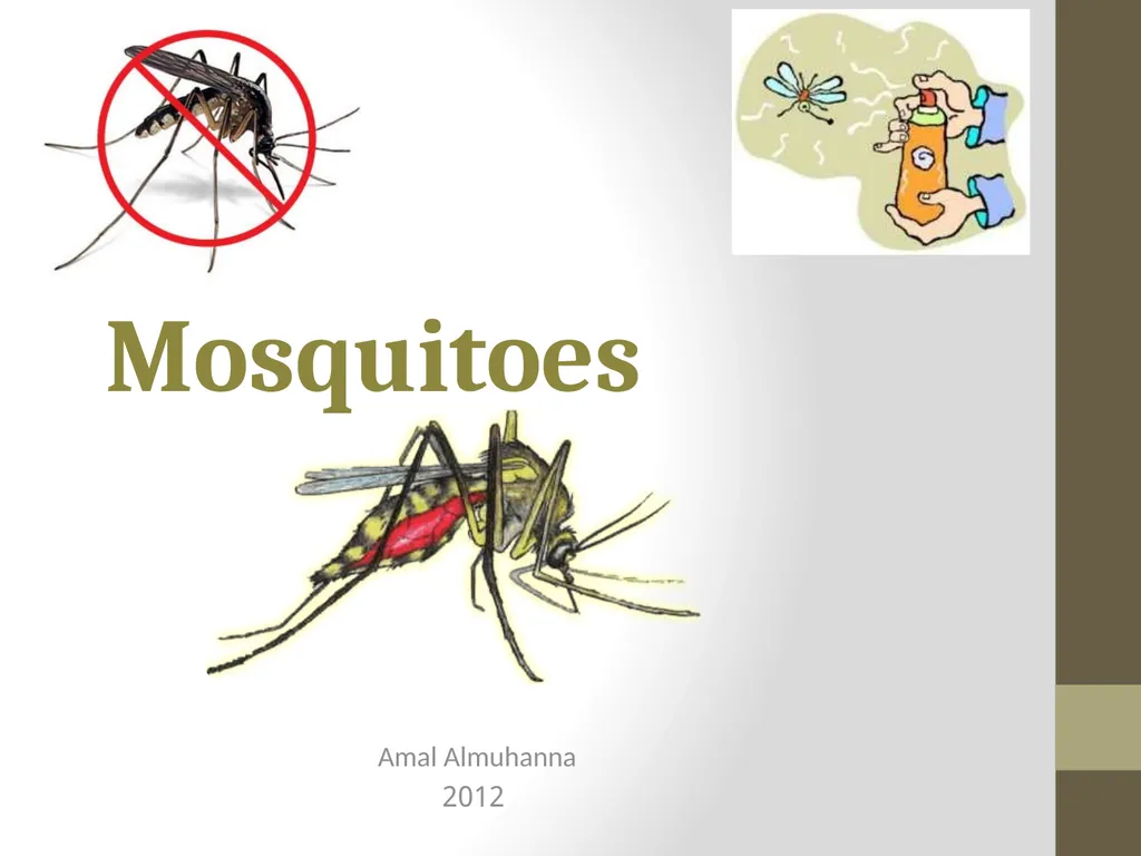 Mosquitoes Amal Almuhanna 2012 Introduction - slide 1 of 54