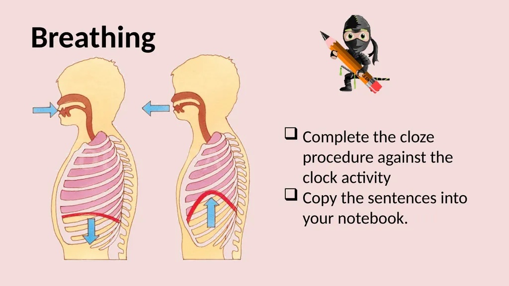 The lungs and breathing Learning objectives Define - slide 6 of 8