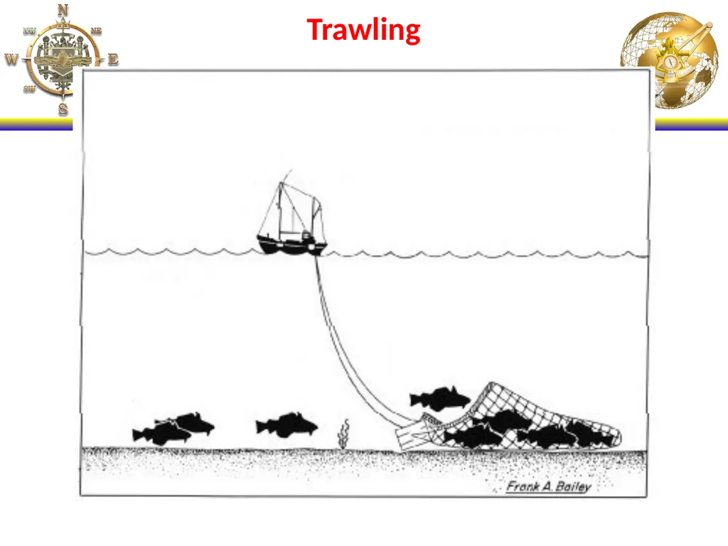 NS101 - Rules of the Road (20-31) Enabling - slide 28 of 53