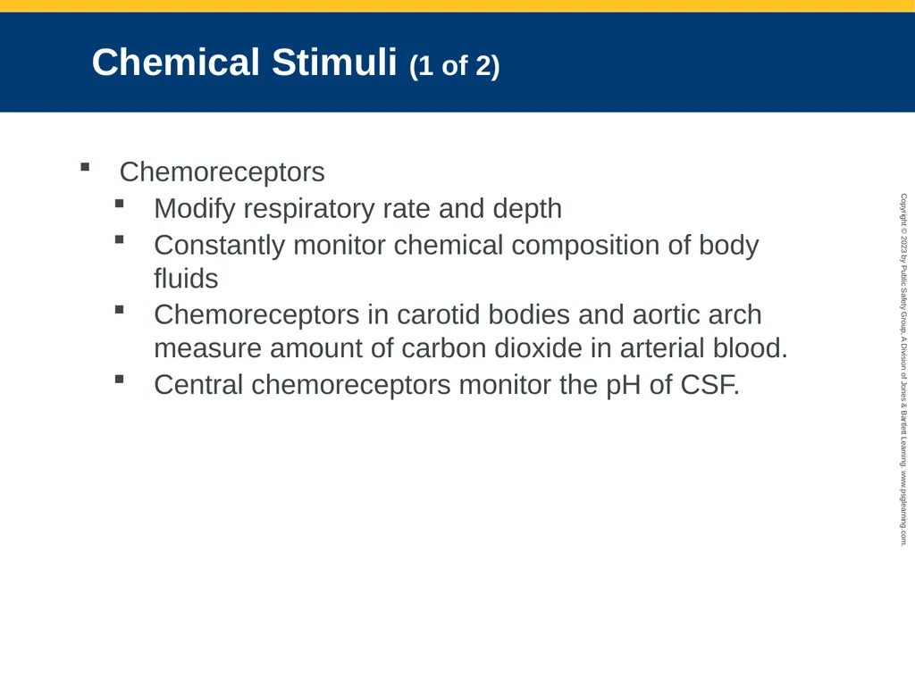 Airway Management CHAPTER 11: Focused Lecture - slide 33 of 139