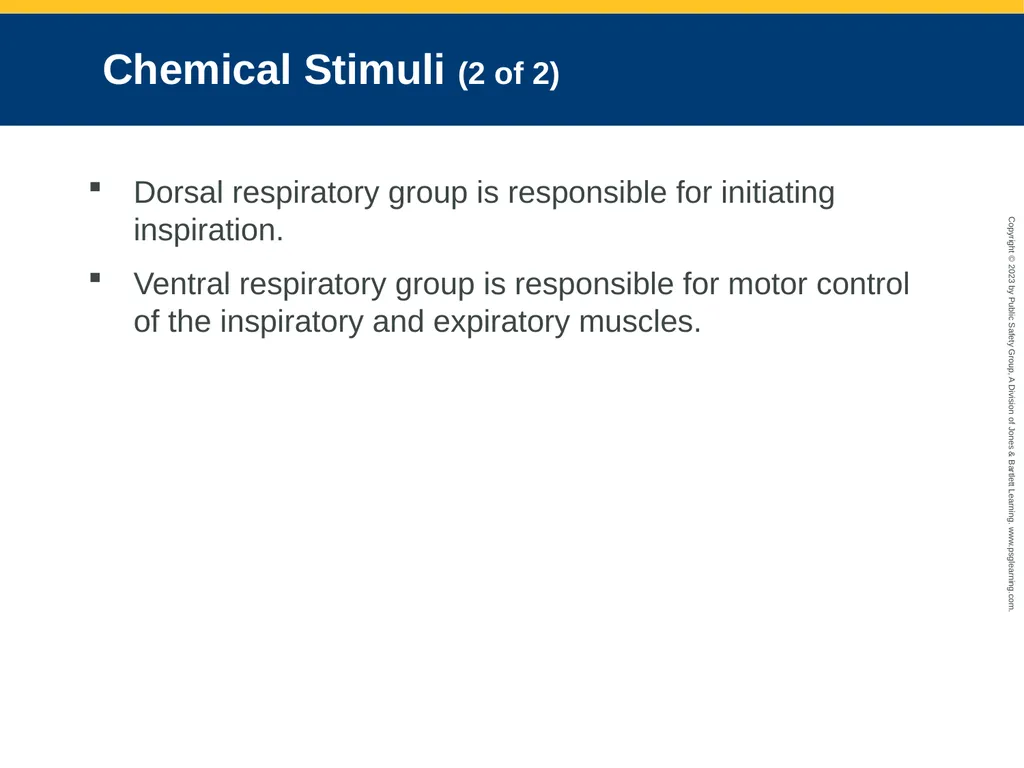 Airway Management CHAPTER 11: Focused Lecture - slide 34 of 139