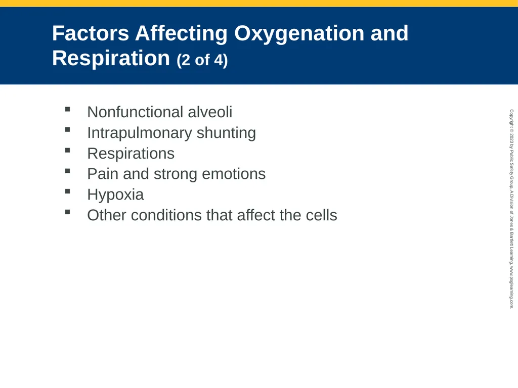 Airway Management CHAPTER 11: Focused Lecture - slide 41 of 139