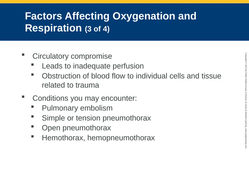 Airway Management CHAPTER 11: Focused Lecture - slide 42 of 139