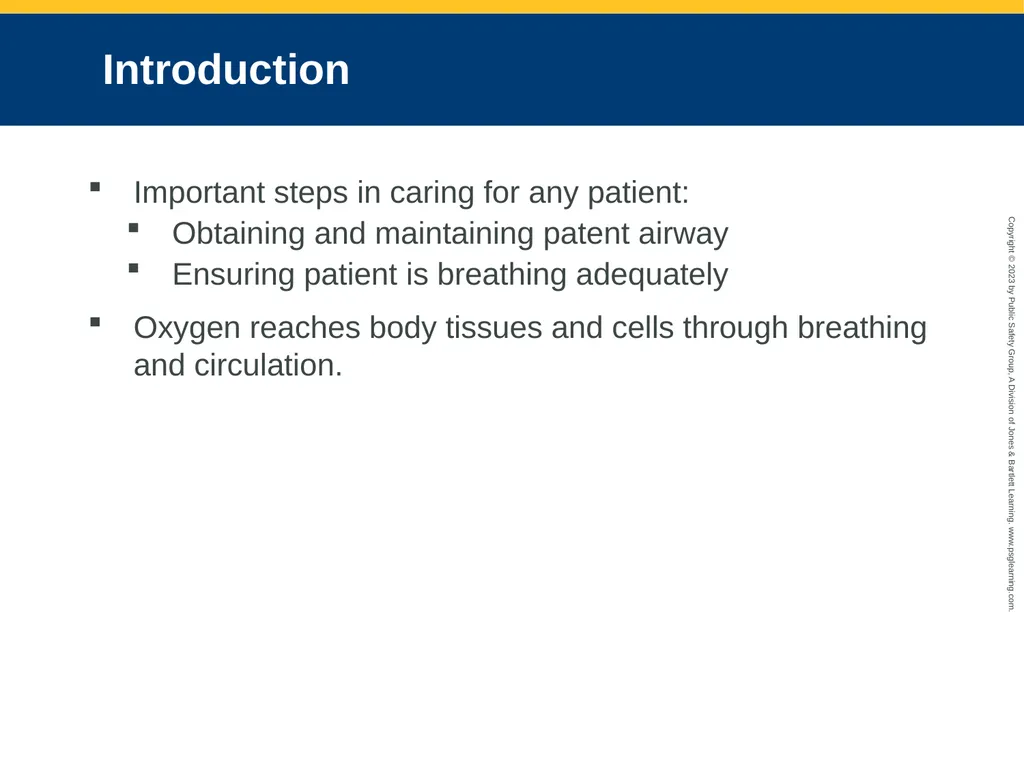 Airway Management CHAPTER 11: Focused Lecture - slide 8 of 139