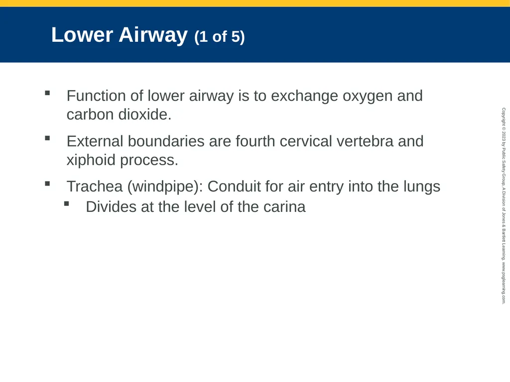Airway Management CHAPTER 11: Focused Lecture - slide 16 of 139