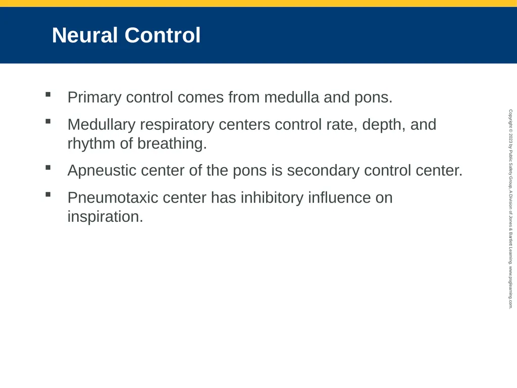 Airway Management CHAPTER 11: Focused Lecture - slide 32 of 139