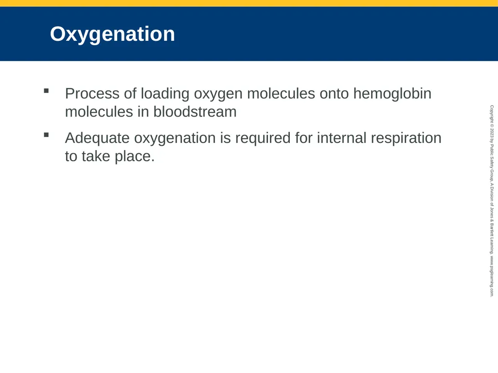 Airway Management CHAPTER 11: Focused Lecture - slide 27 of 139
