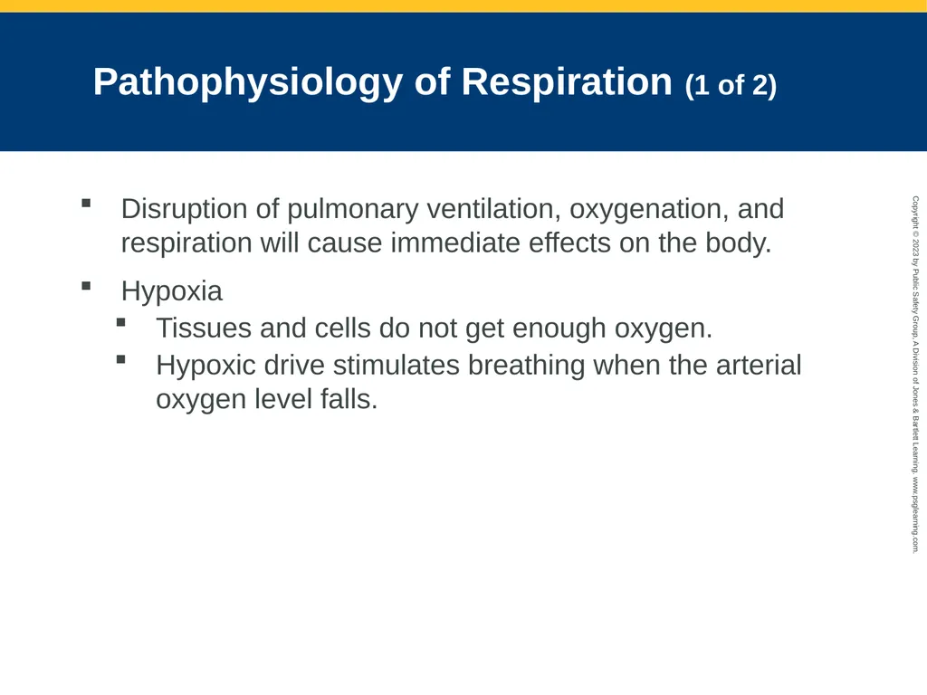 Airway Management CHAPTER 11: Focused Lecture - slide 35 of 139