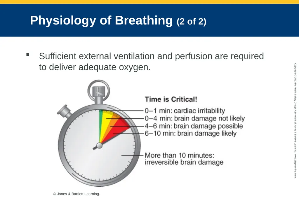 Airway Management CHAPTER 11: Focused Lecture - slide 22 of 139