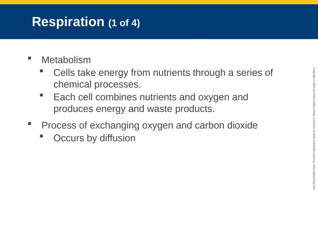 Airway Management CHAPTER 11: Focused Lecture - slide 28 of 139