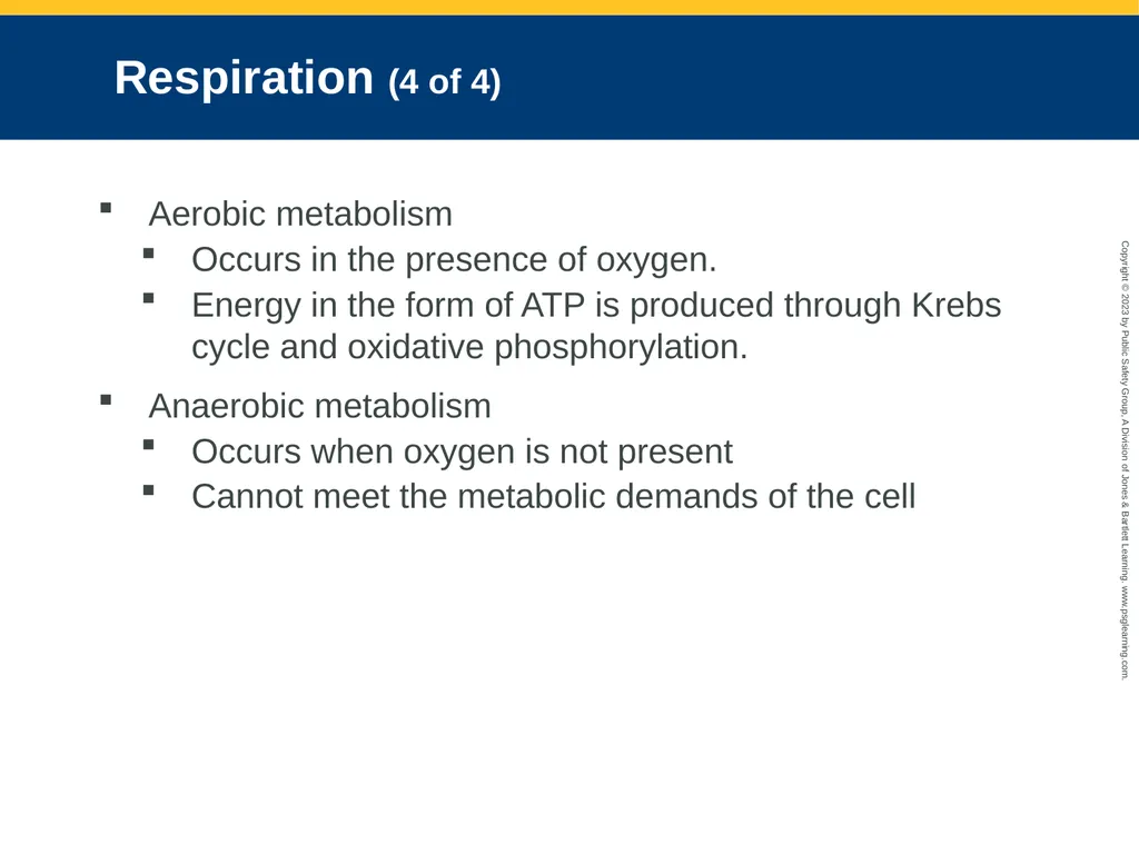 Airway Management CHAPTER 11: Focused Lecture - slide 31 of 139