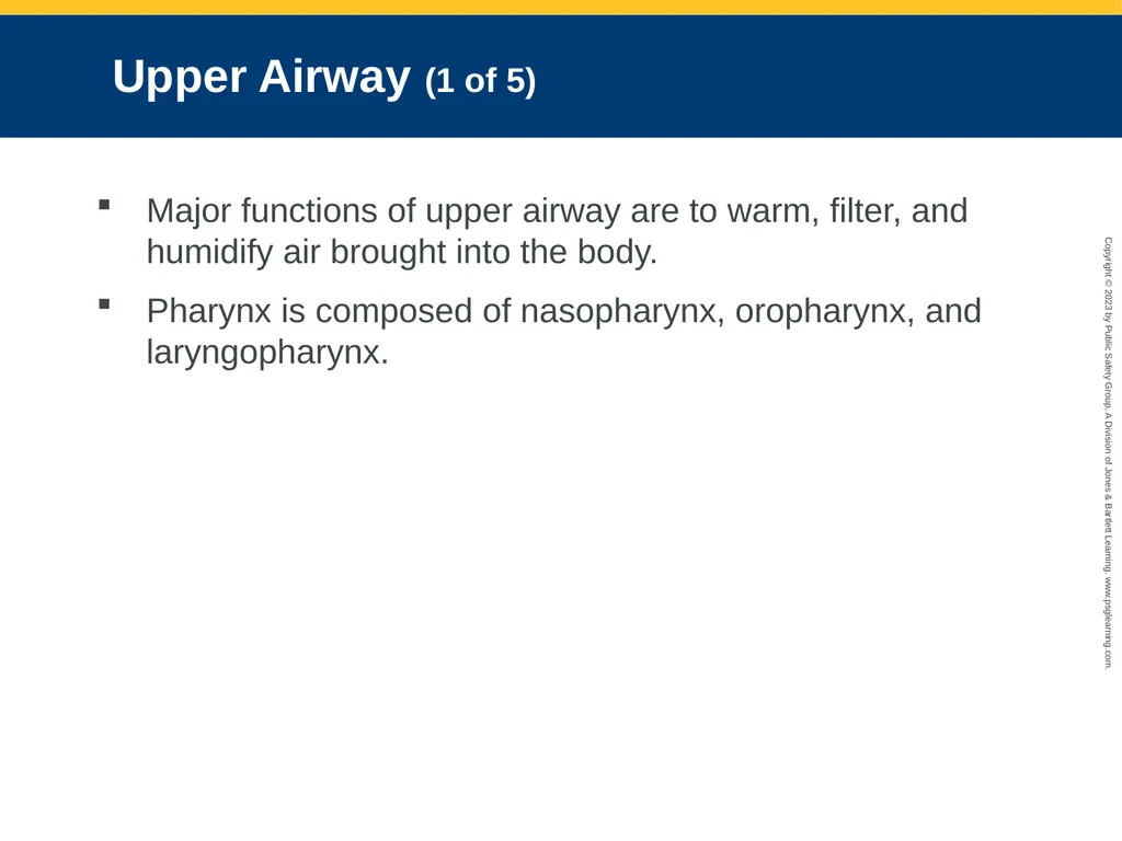 Airway Management CHAPTER 11: Focused Lecture - slide 11 of 139