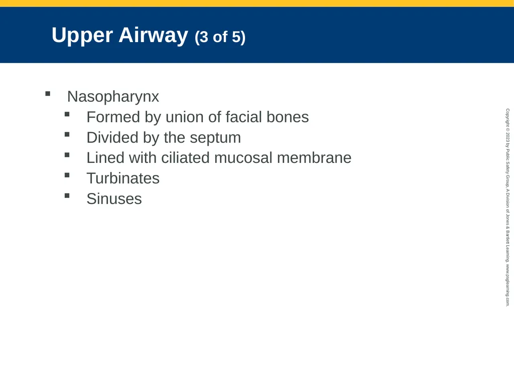 Airway Management CHAPTER 11: Focused Lecture - slide 13 of 139