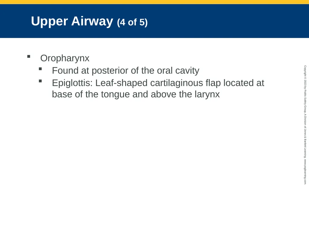 Airway Management CHAPTER 11: Focused Lecture - slide 14 of 139