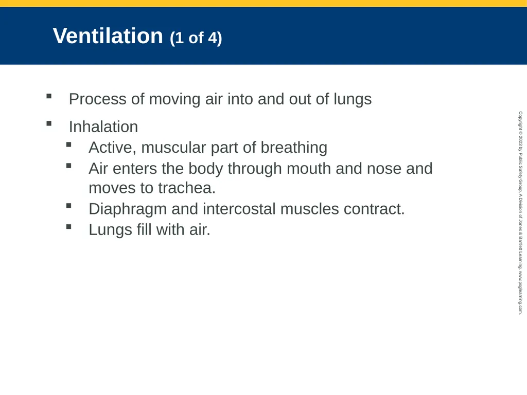 Airway Management CHAPTER 11: Focused Lecture - slide 23 of 139
