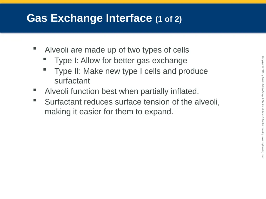 Respiratory Emergencies CHAPTER 17: Focused - slide 16 of 106