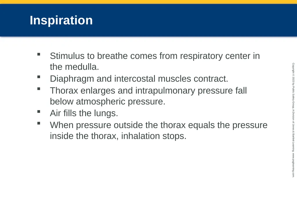 Respiratory Emergencies CHAPTER 17: Focused - slide 13 of 106