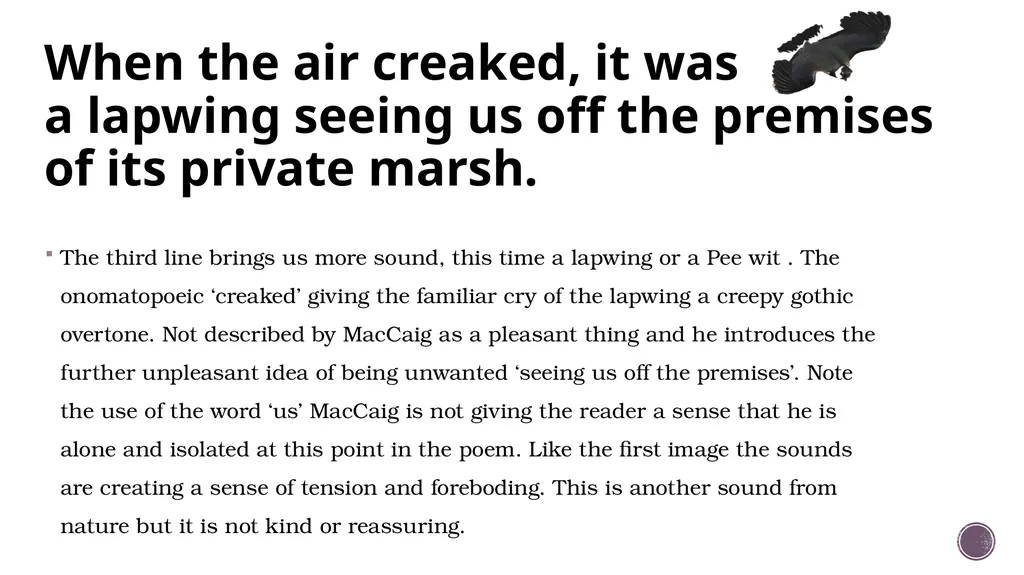 Sounds Of The Day - Annotation We are learning to: - slide 12 of 25