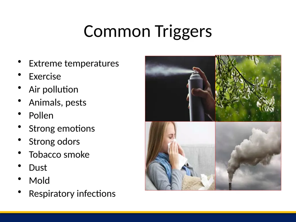 Essential information for educators who assist the - slide 5 of 13