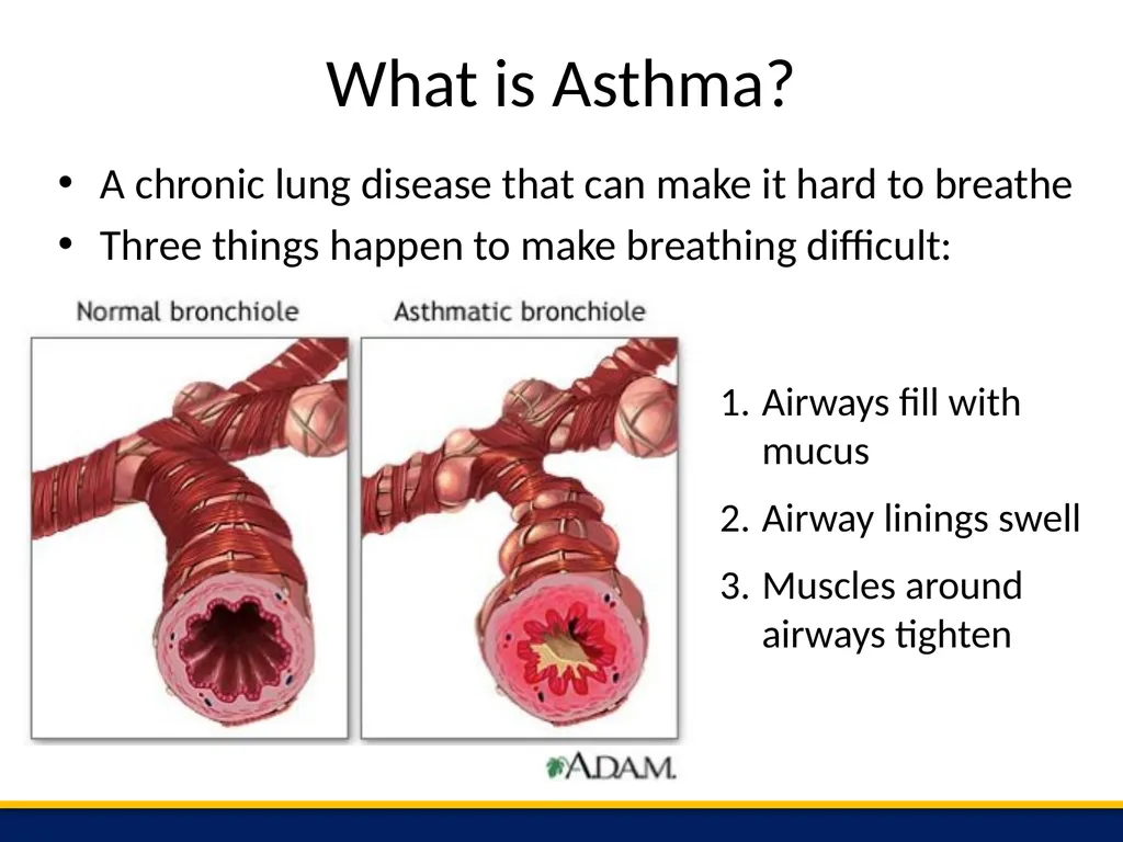 Essential information for educators who assist the - slide 2 of 13
