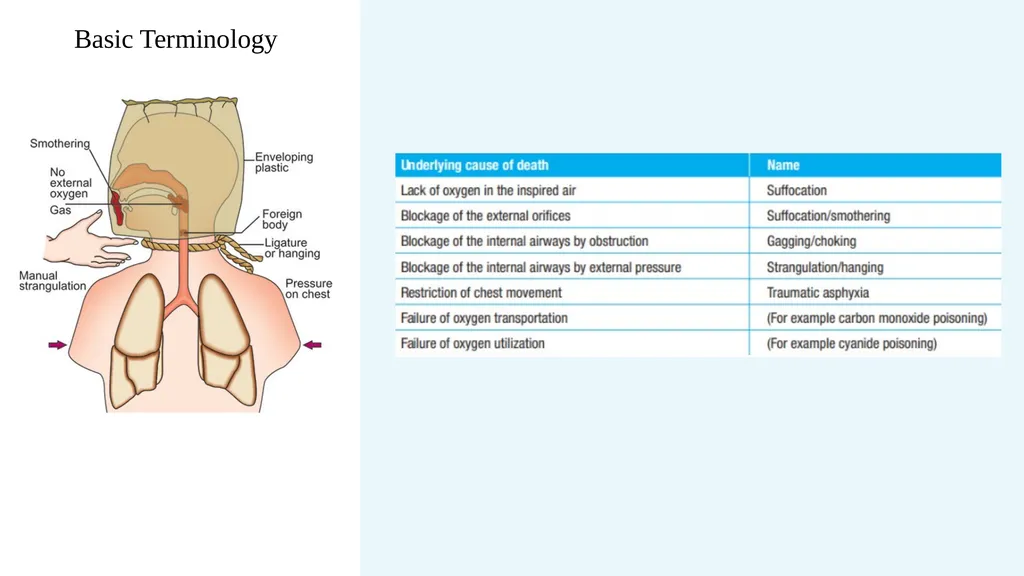 The Forensics of Violent Asphyxia Make sure to - slide 8 of 17