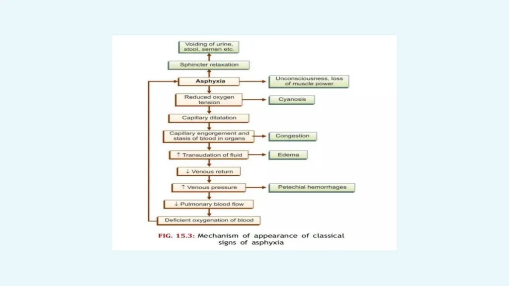 The Forensics of Violent Asphyxia Make sure to - slide 15 of 17