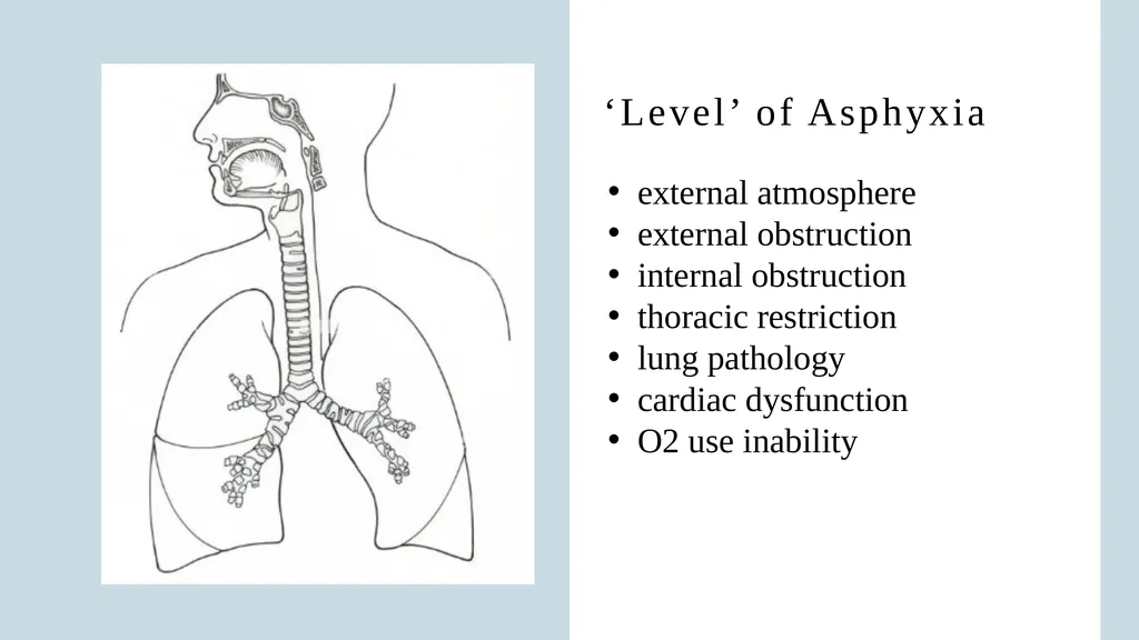 The Forensics of Violent Asphyxia Make sure to - slide 6 of 17