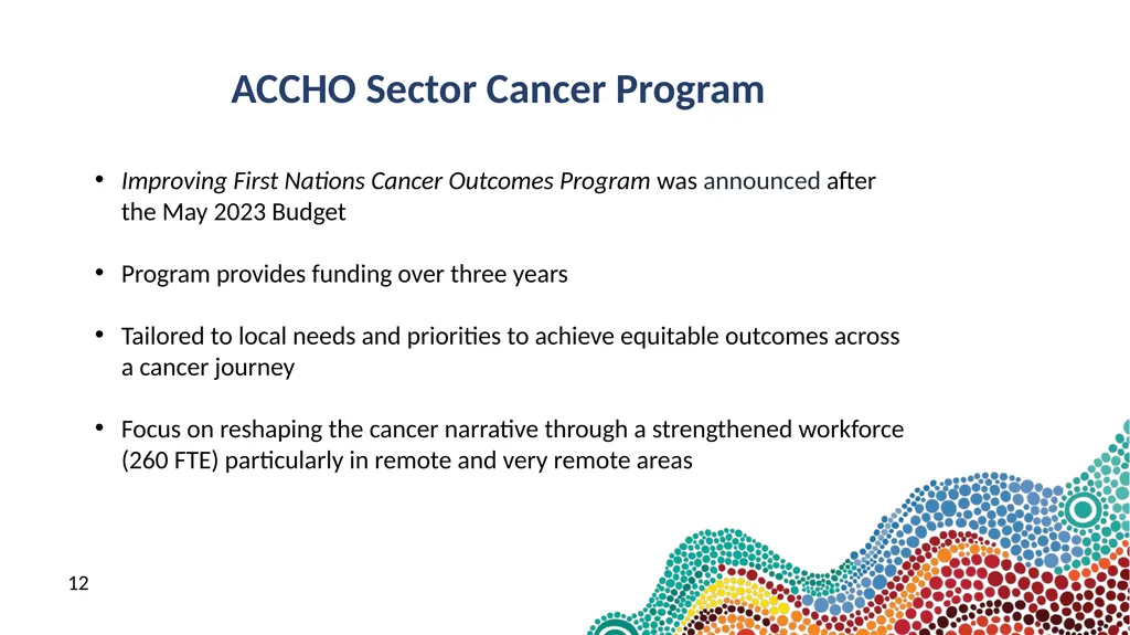 NACCHO Cancer Programs 9 & 10 July 2024 Peter - slide 12 of 21