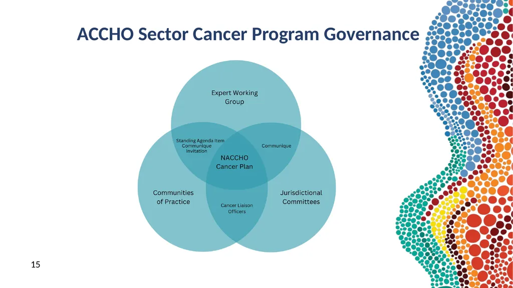 NACCHO Cancer Programs 9 & 10 July 2024 Peter - slide 15 of 21