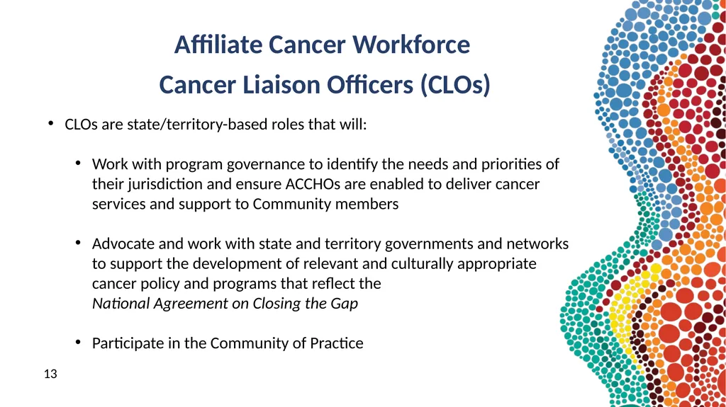 NACCHO Cancer Programs 9 & 10 July 2024 Peter - slide 13 of 21