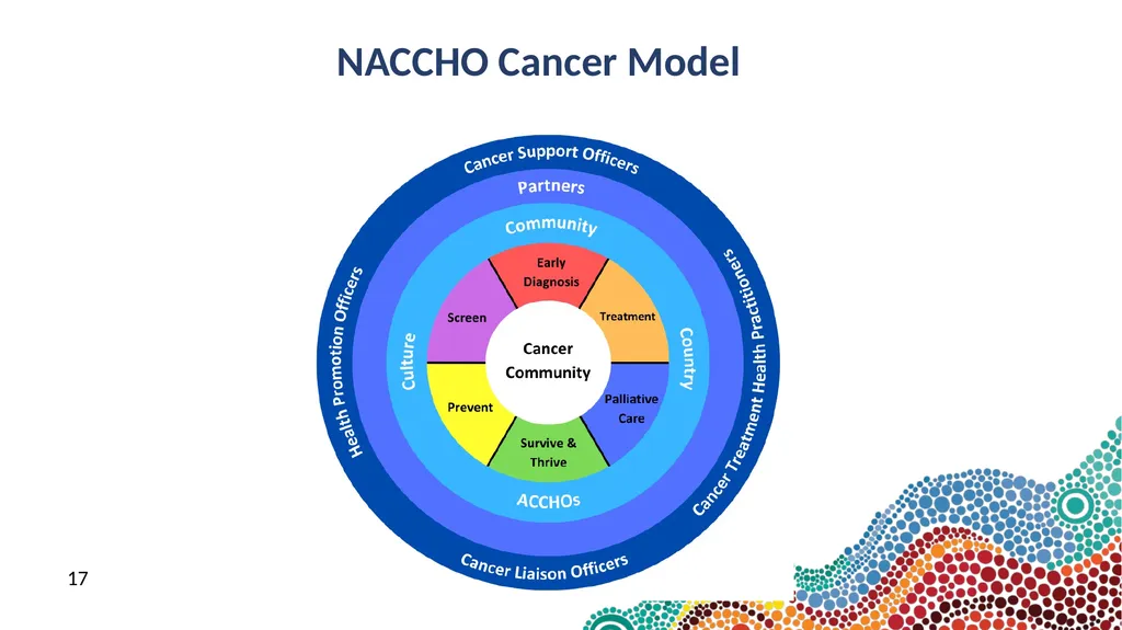 NACCHO Cancer Programs 9 & 10 July 2024 Peter - slide 17 of 21