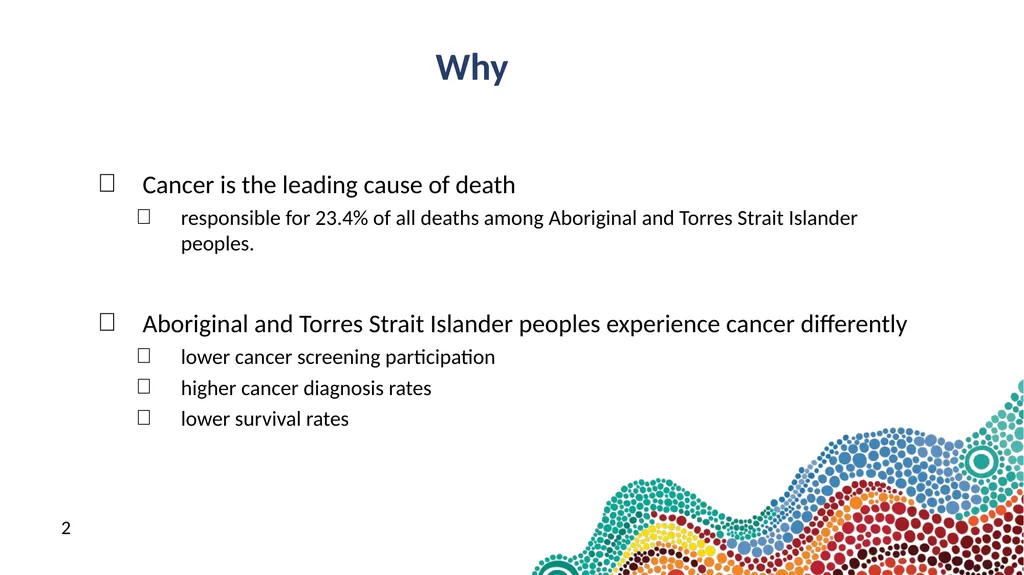 NACCHO Cancer Programs 9 & 10 July 2024 Peter - slide 2 of 21