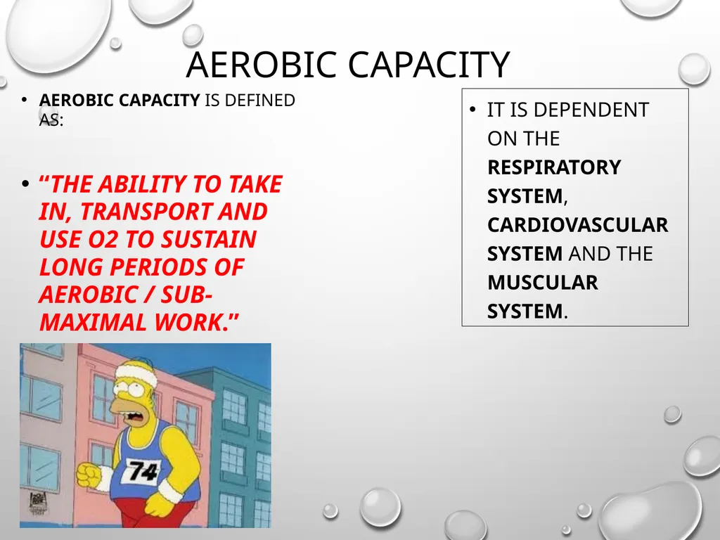 Starter Tasks MRS VOPP Testing WC State what each - slide 3 of 18