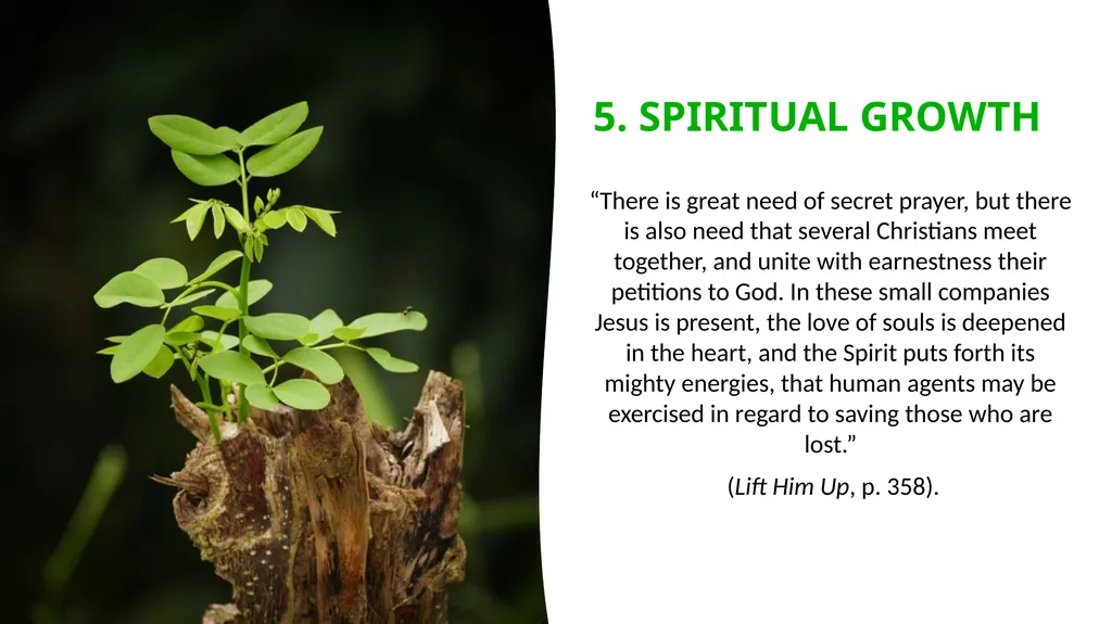 SEVEN STEPS for Sharing Jesus SEMINAR PREPARED BY - slide 20 of 28