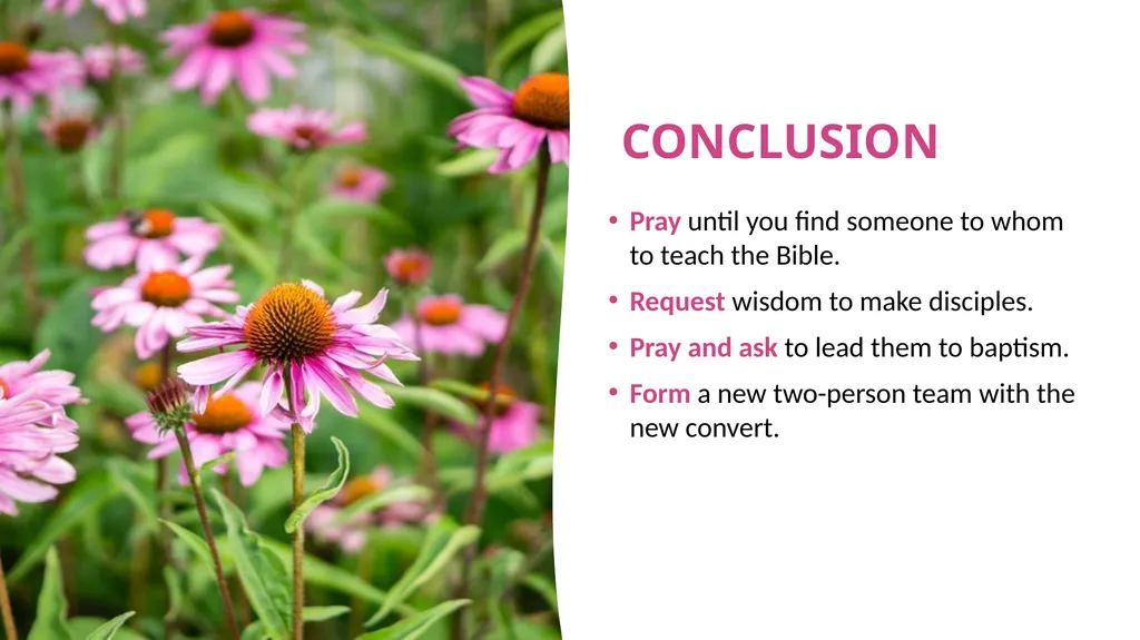 SEVEN STEPS for Sharing Jesus SEMINAR PREPARED BY - slide 27 of 28