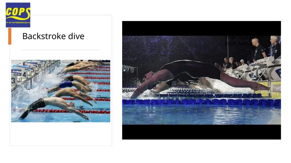 The basic backstroke technique Eve wright Best - slide 19 of 24