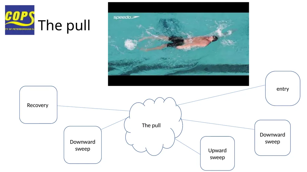 The basic backstroke technique Eve wright Best - slide 4 of 24