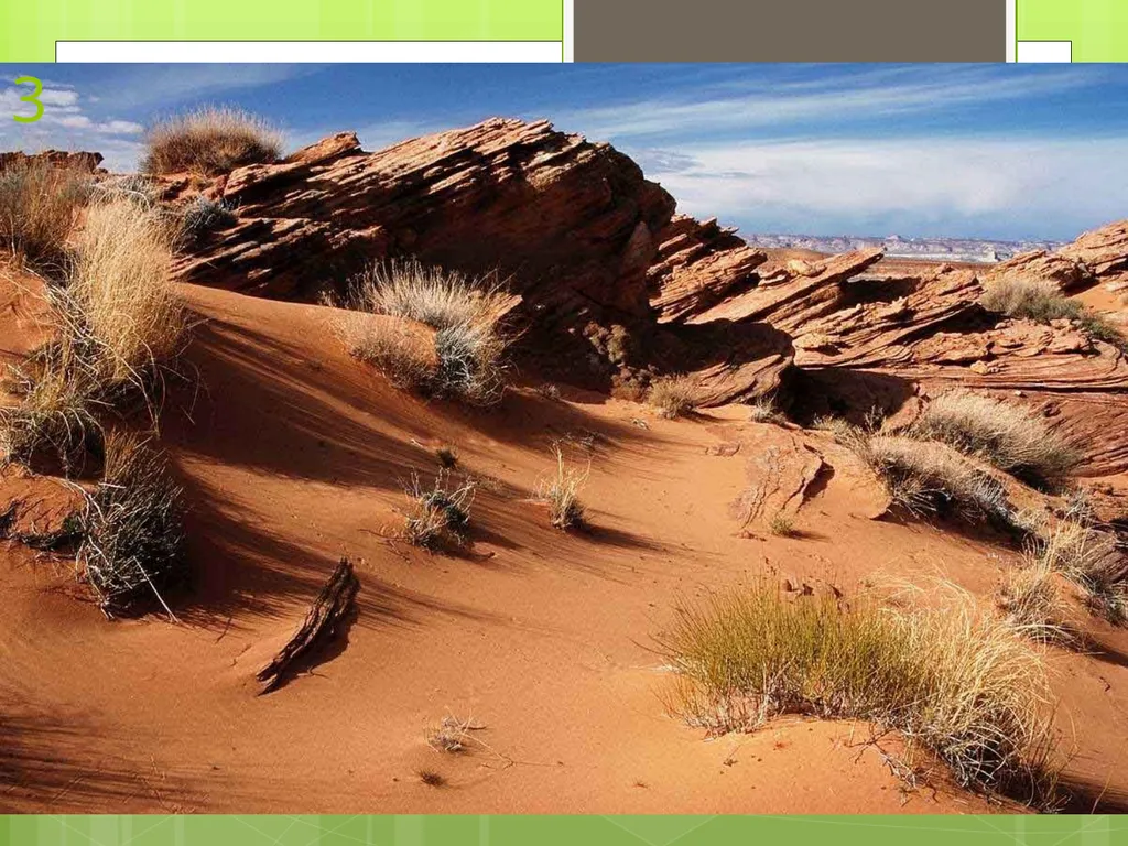 Unit 1 Sustaining Earth’s Ecosystem 1.1: Learning - slide 9 of 28