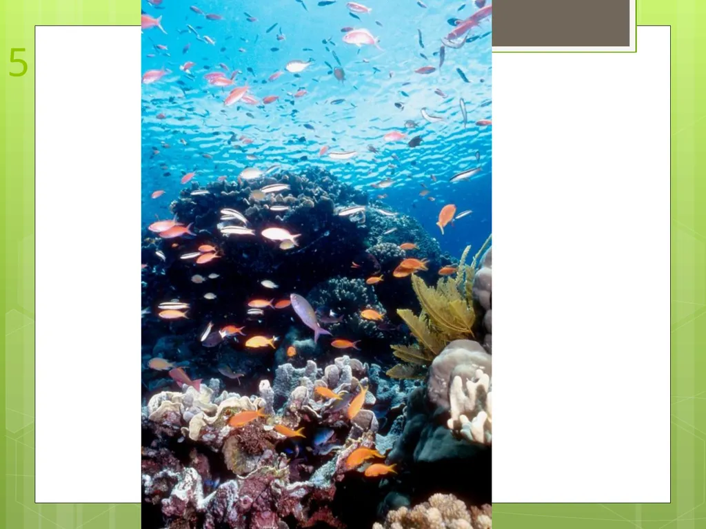 Unit 1 Sustaining Earth’s Ecosystem 1.1: Learning - slide 11 of 28