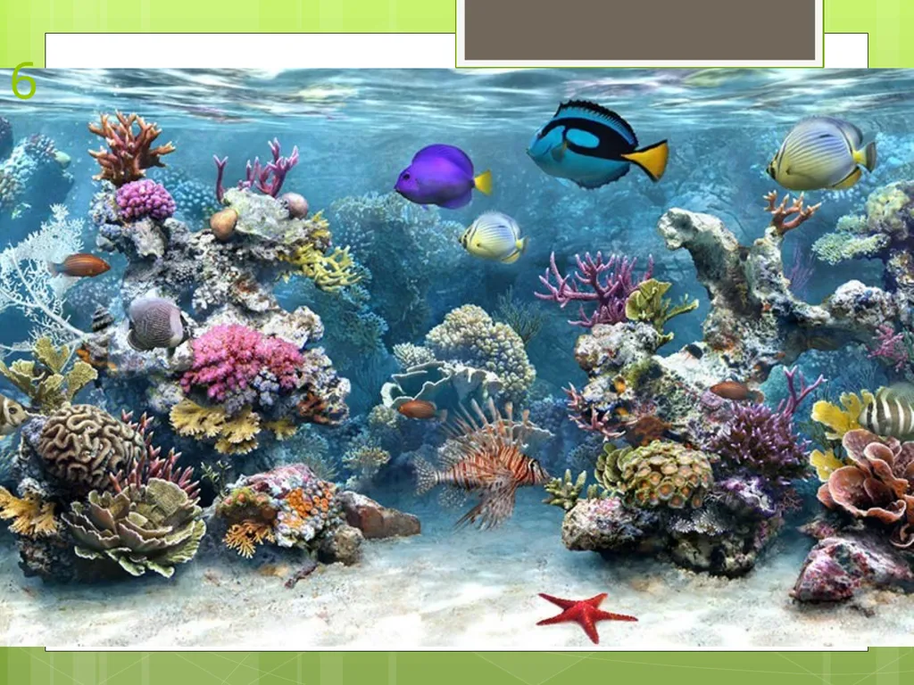 Unit 1 Sustaining Earth’s Ecosystem 1.1: Learning - slide 12 of 28