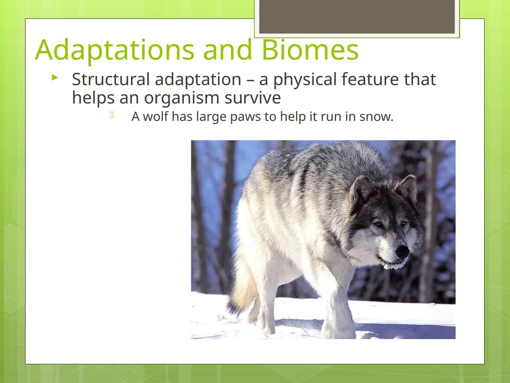 Unit 1 Sustaining Earth’s Ecosystem 1.1: Learning - slide 26 of 28
