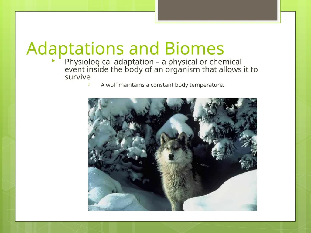 Unit 1 Sustaining Earth’s Ecosystem 1.1: Learning - slide 27 of 28