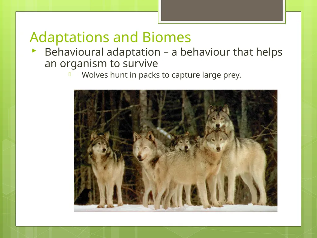Unit 1 Sustaining Earth’s Ecosystem 1.1: Learning - slide 28 of 28