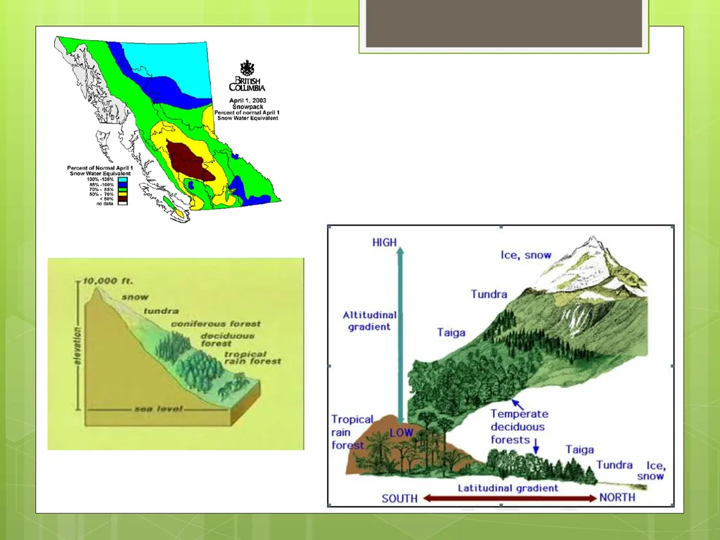Unit 1 Sustaining Earth’s Ecosystem 1.1: Learning - slide 22 of 28