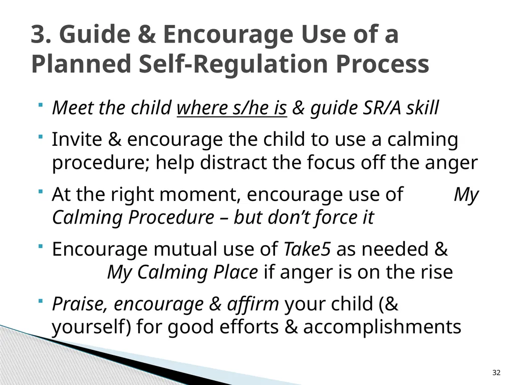 Teaching Children Self-Regulation of Anger: A - slide 32 of 41