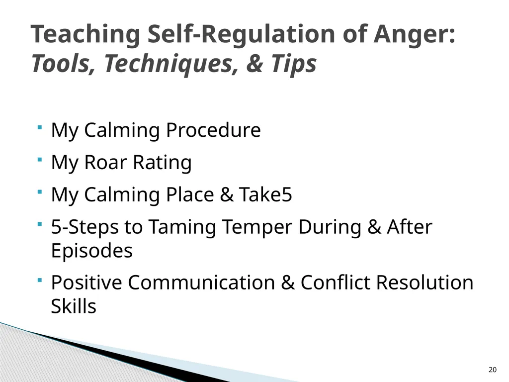 Teaching Children Self-Regulation of Anger: A - slide 20 of 41