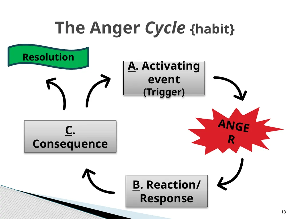 Teaching Children Self-Regulation of Anger: A - slide 13 of 41